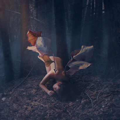 Wilted Wings - a Photographic Art Artowrk by Fiona Hsu