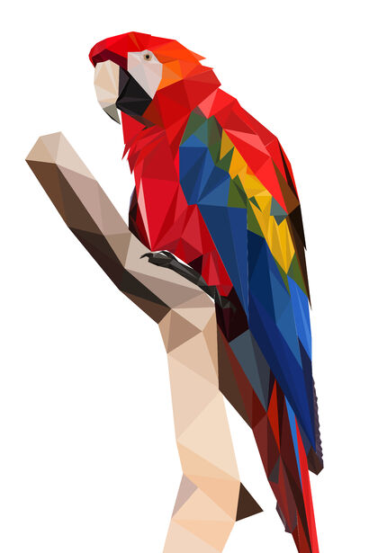 三角鹦鹉 (triangle parrot) - a Digital Graphics and Cartoon Artowrk by Shixin Shao