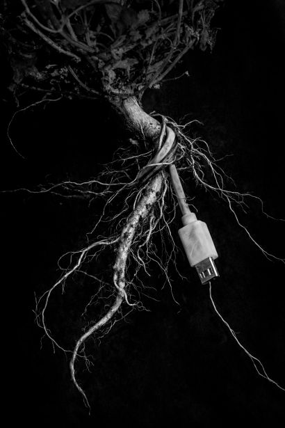 Wired to Grow  - a Photographic Art Artwork by NADAL ANTELMO