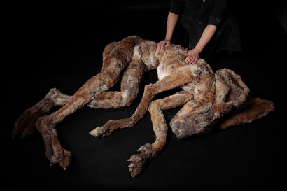 Hare (Wyrd Sister, Betwixt Me and Her) - a Sculpture & Installation Artowrk by Abigail Norris