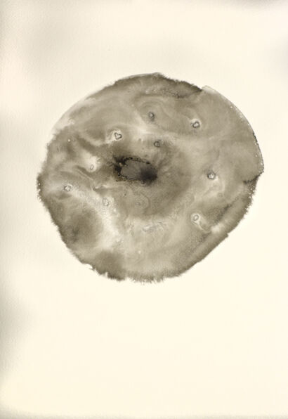 Olympus Mons - topography - a Paint Artowrk by David Mužík