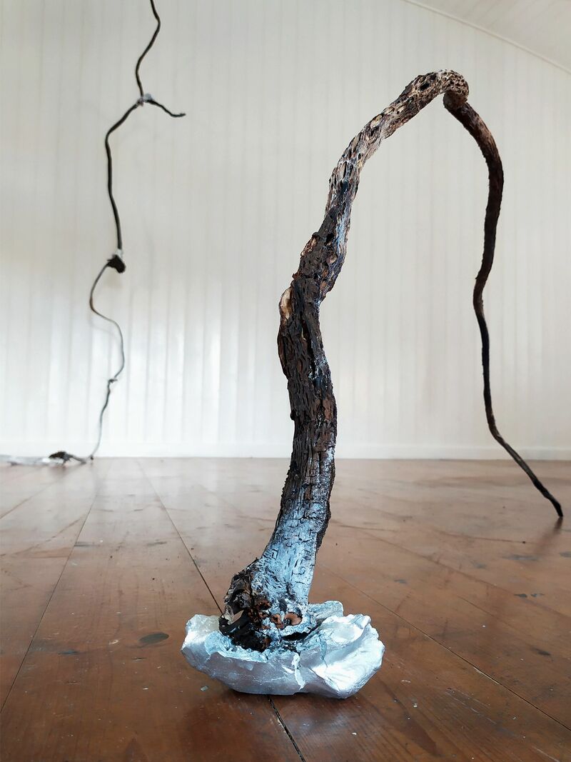 Roots - a Sculpture & Installation by Deborah Graziano