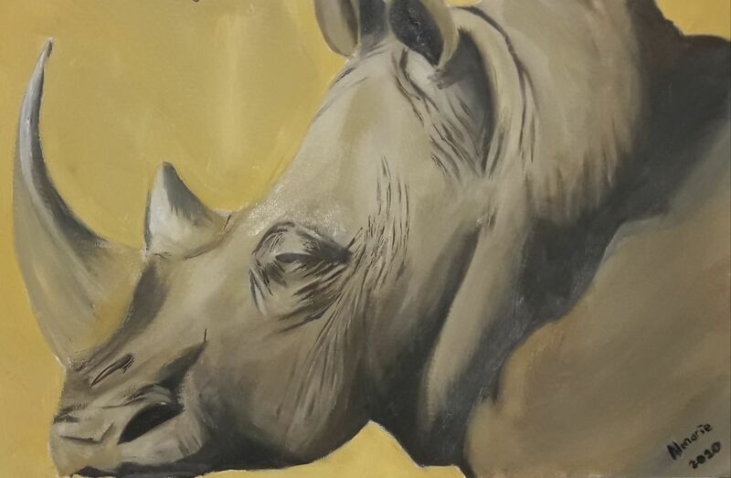 Rhino1 - a Paint by AC