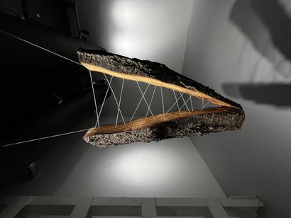 Vita? - a Sculpture & Installation Artowrk by Dmitrii Khramov