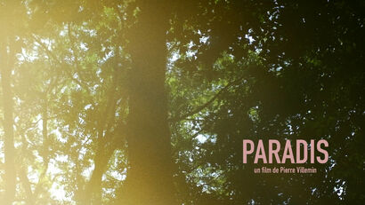 Paradis - A Video Art Artwork by pierre villemin