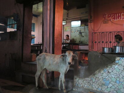 The cow at the restaurant - a Photographic Art Artowrk by Laetitia Guillou