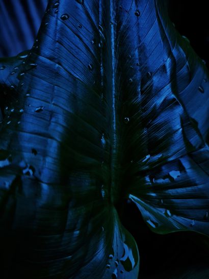 OXYGEN Notturno - Spiritus - a Photographic Art Artwork by Sara Franci Visual Artist