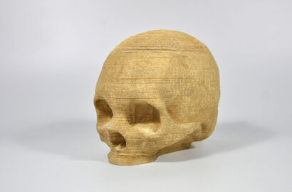 Vanitas book series (Skull version) - a Sculpture & Installation Artowrk by Danne Ojeda