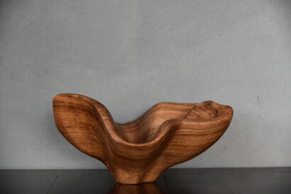 Bowl - A Sculpture & Installation Artwork by Vittorio Mandelli