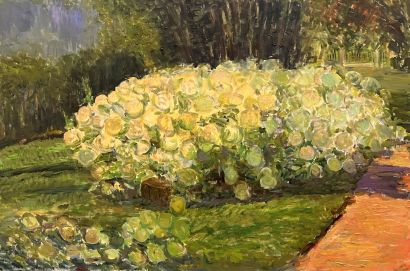 Hortensien Garden.  by Victoria  Malshakova