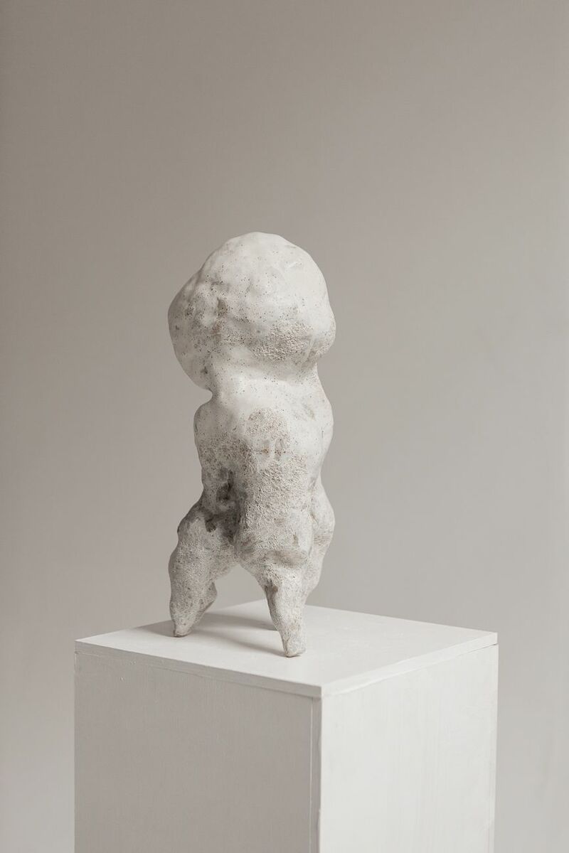 Object No.8 - a Sculpture & Installation by Karolina Zimnicka