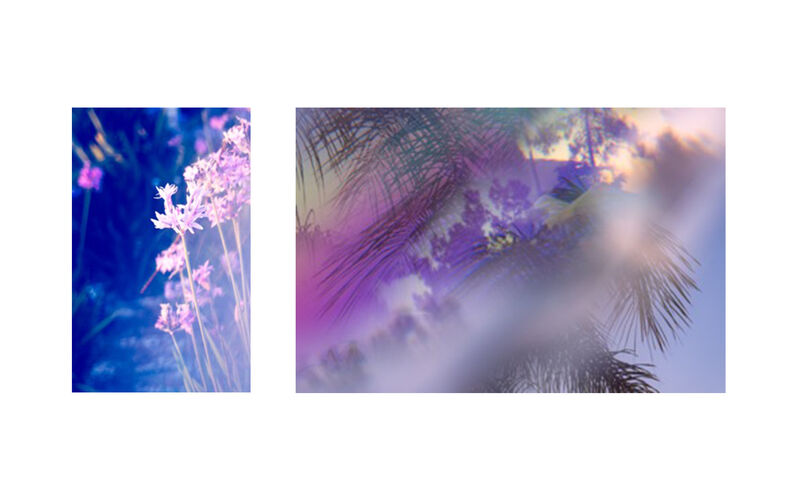 Dream in Lavender / Summer splash #2. Diptych  - a Photographic Art by Olga Neff