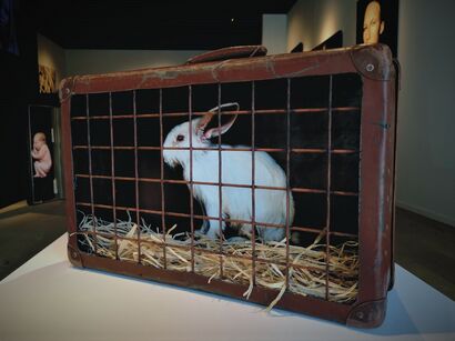 the rabbit - A Sculpture & Installation Artwork by willy baeyens
