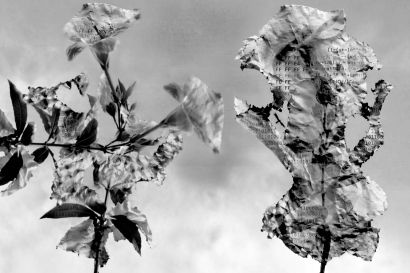 Reproduction Error - a Photographic Art Artwork by NADAL ANTELMO