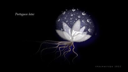 ACTING MATTER - portuguese lotus - A Video Art Artwork by Christina Hellmerich