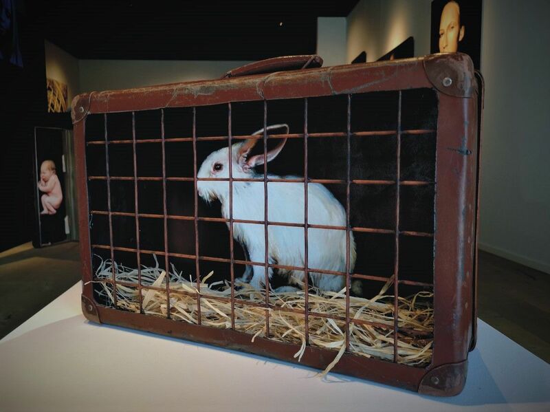 the rabbit - a Sculpture & Installation by willy baeyens