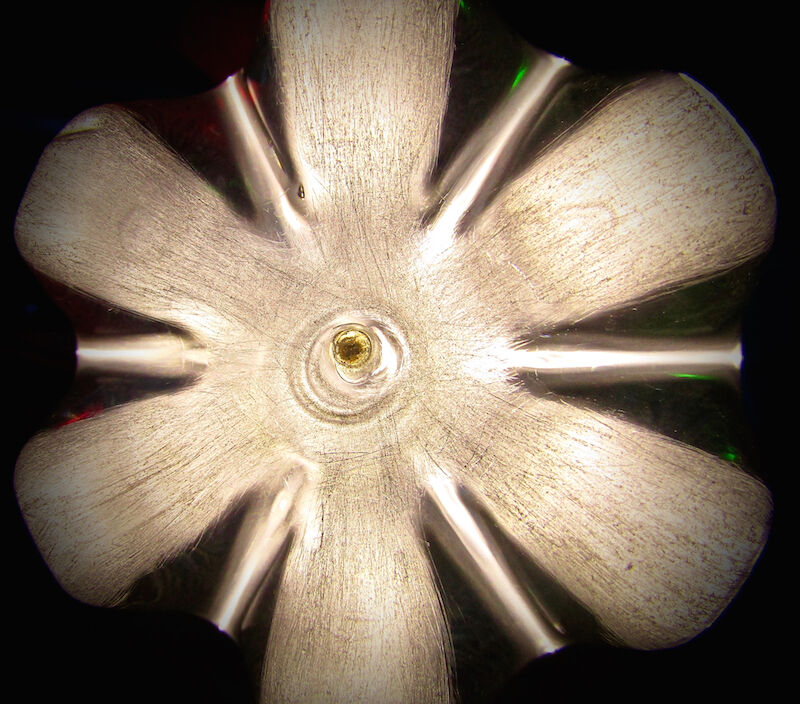 The Golden Flower - a Photographic Art by Paolo Staccioli