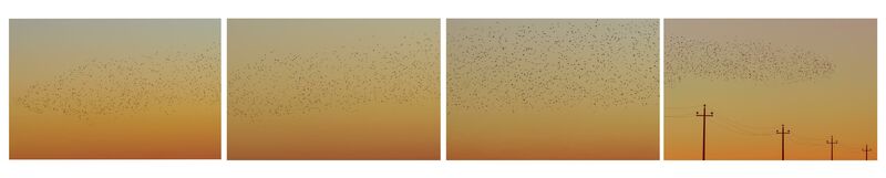Migrants - a Photographic Art by Gianluca Barbi