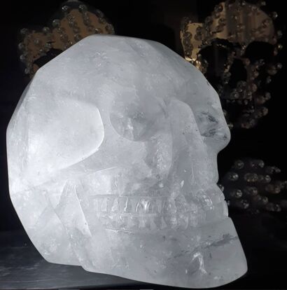 Skull Head - a Sculpture & Installation Artowrk by Francis Verdan
