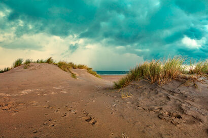 in the dunes II - a Photographic Art Artowrk by Koehler Christoph