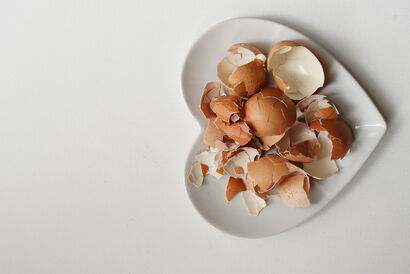 Egg shells - a Photographic Art Artowrk by Daisy  oguonu