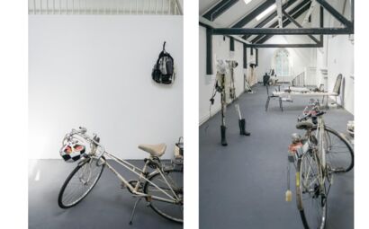 Acres of Diamonds - a Sculpture & Installation Artwork by Maoyu  Mao