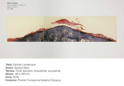 cellular landscape - A Paint Artwork by Gieri Gieri