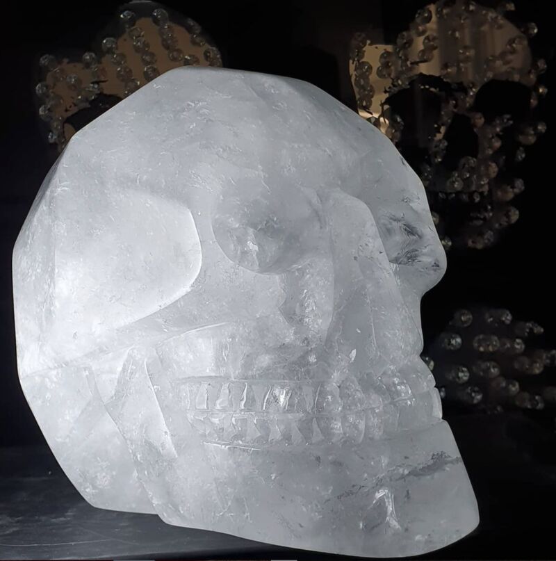 Skull Head - a Sculpture & Installation by Francis Verdan