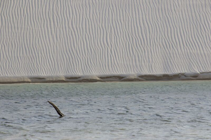 What do you see? - a Photographic Art by marcela neves