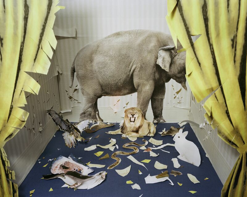 Zoo with no walls - a Photographic Art by Gabriel Miranda Byrro