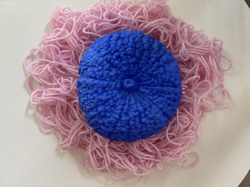 Ocean in Bloom - a Sculpture & Installation by Mariaelena Barbara  Fantinel 