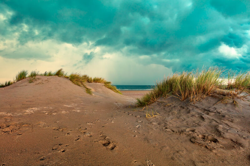in the dunes II - a Photographic Art by Koehler Christoph