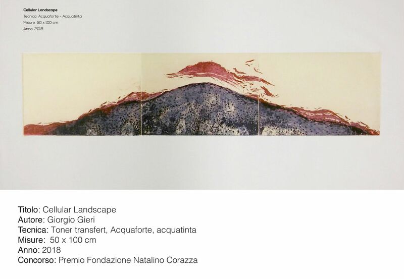 cellular landscape - a Paint by Gieri Gieri