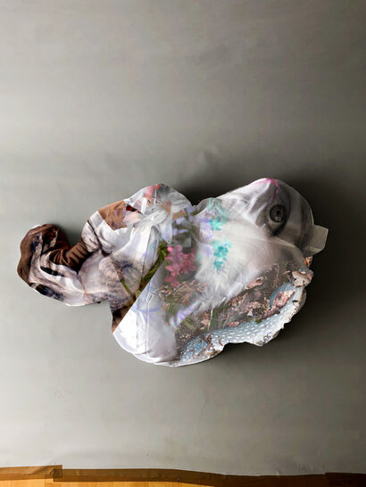 The broken shell - a Photographic Art Artowrk by Tara Wolff