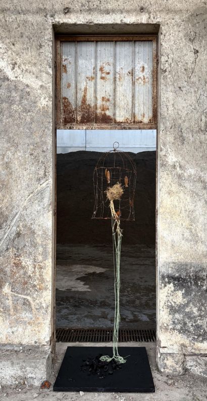 Equilibrio Cosmico 00 by Raffaella Bellani