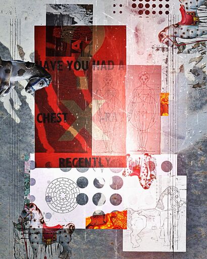 Loose Horse 032 - a Photographic Art Artowrk by JW Andrew