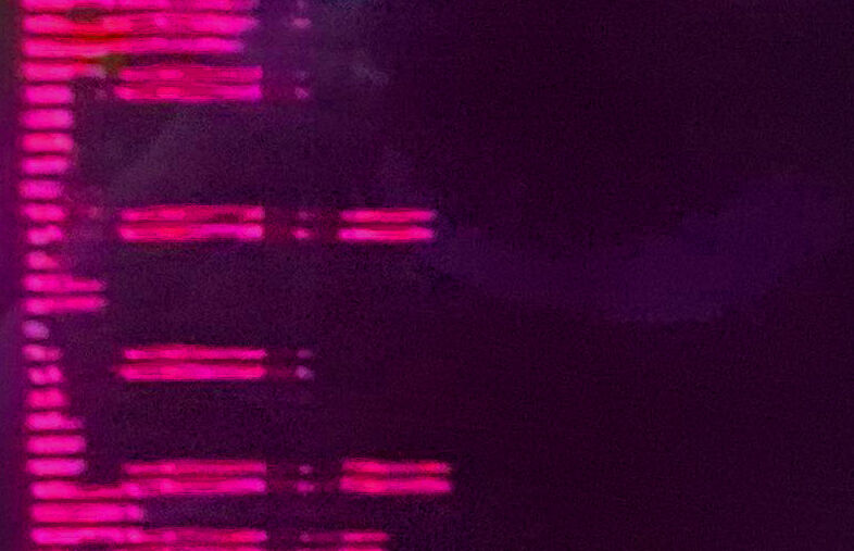 Data III - a Digital Art by Anna Giudice 