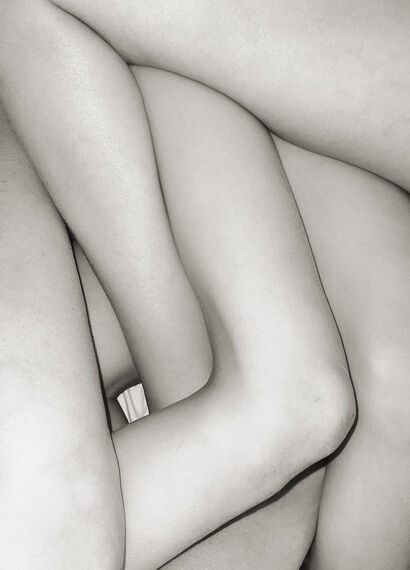 Legs - a Photographic Art Artowrk by Ольга Kopina