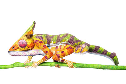 the chameleon - a Photographic Art Artowrk by Mathias Kniepeiss