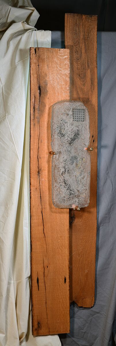 Glass Casting On Reclaimed Wood Wall Sculpture - a Sculpture & Installation Artowrk by Bill Battaglia