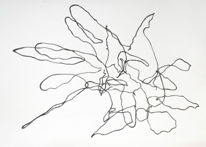 One line and six lights - a Paint by Chanbyul Park