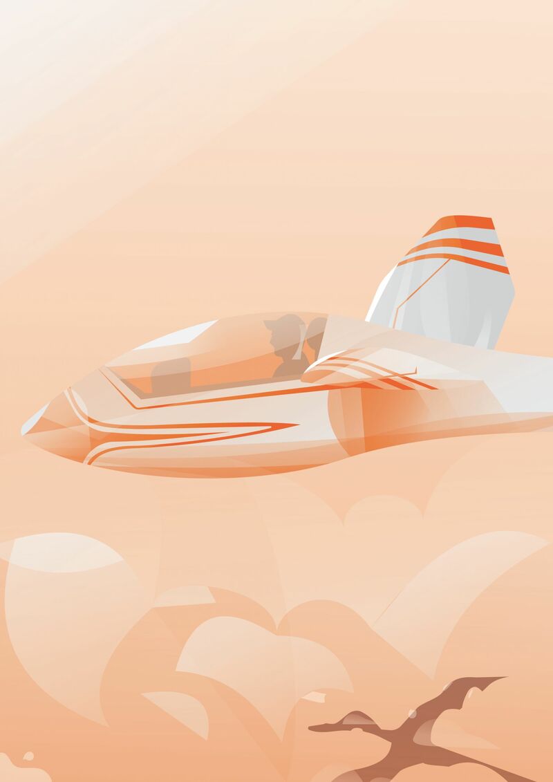 Glider, gliding, orangy  - a Digital Graphics and Cartoon by Aliemo Ltd