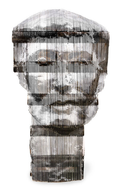 confused head - a Sculpture & Installation Artowrk by Janinne Wolfsohn