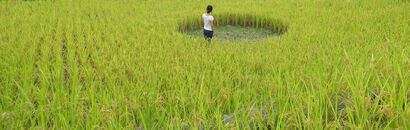 inner rice field, japan - A Land Art Artwork by Ivan Juarez