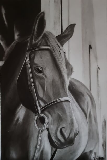 HORSE  - a Paint Artowrk by IVANA RAHIJA