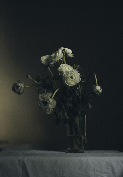 My Floristic Diary, 2 - A Photographic Art Artwork by Lidia  Bekenova