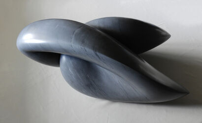 Symbiosis - a Sculpture & Installation Artowrk by Elena Saracino