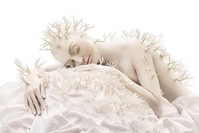 White Coral - a Photographic Art Artowrk by Birgit Mörtl