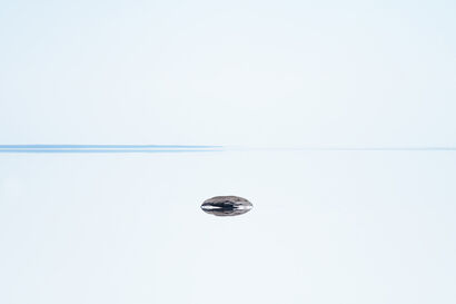 UFO - a Photographic Art Artowrk by dmitry pitenin