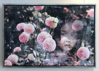 ZARTE BLUMEN - FRAGILE FLOWERS - a Photographic Art Artowrk by Agnete Sabbagh
